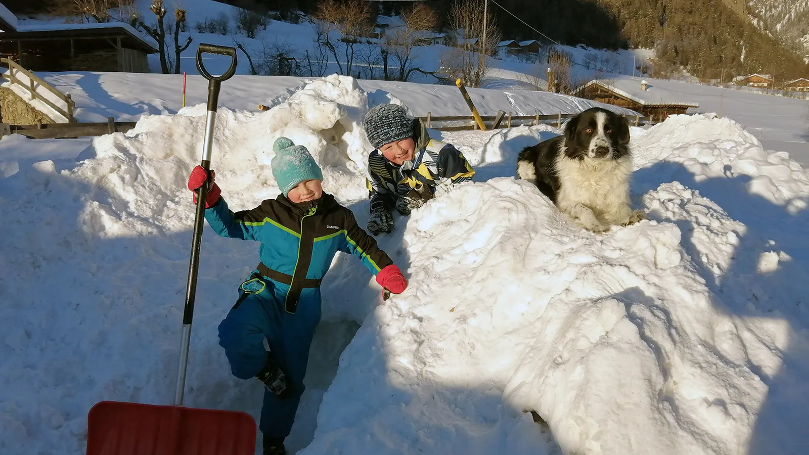 Die Kinder spielen mit den Tieren im Schnee auf dem Ralserhof in Pfitsch