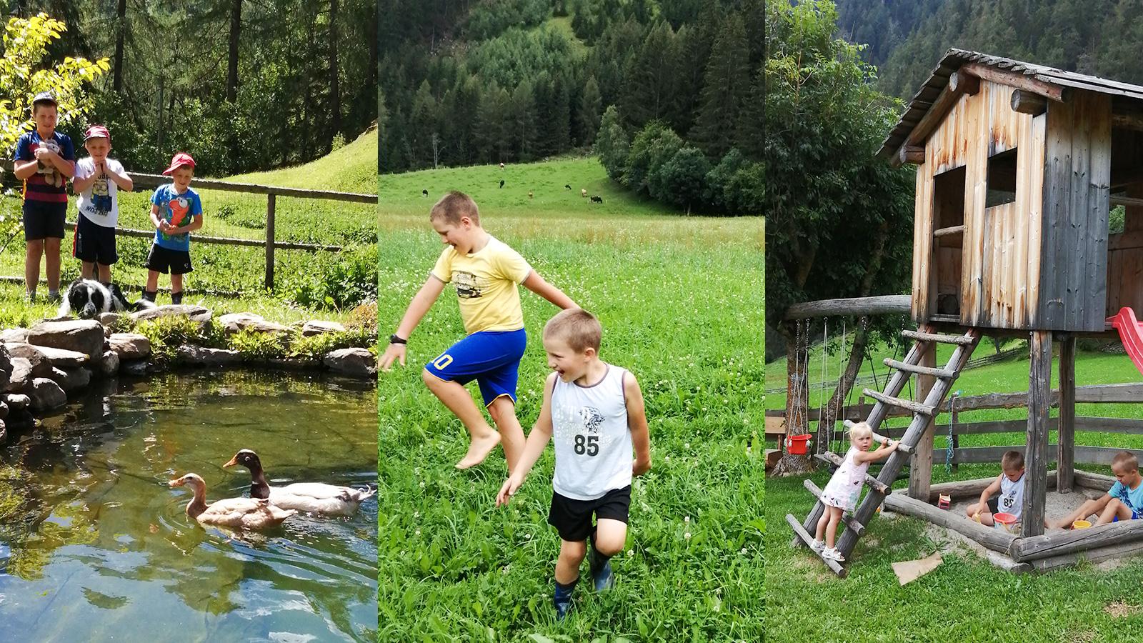 Aktivitäten für Kinder auf dem Bauernhof in Pfitsch